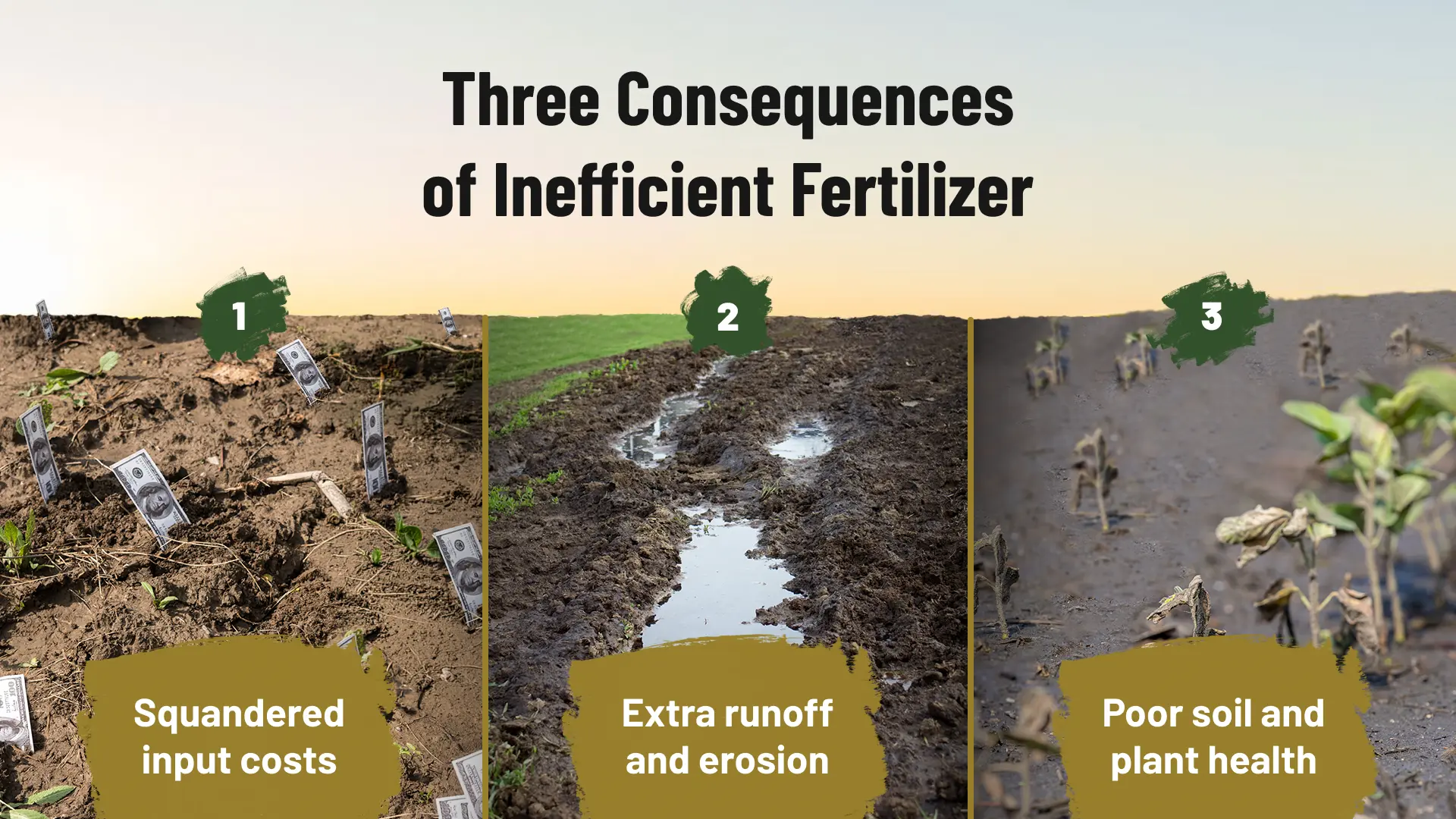 l2 16by9 3 consequences of inefficient fertilizer totally tubular manufacturing (1)